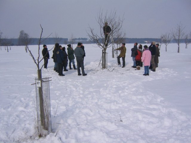 Schnittkurs 2005