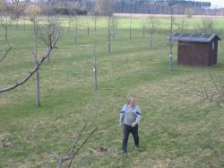 3 Baumschnitt 2006 04