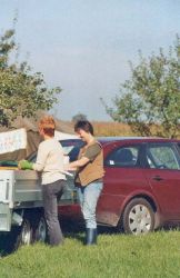 Obsternte 2006 12