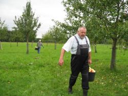 Obsternte 2007 04