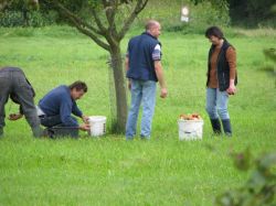 Obsternte 2007 17