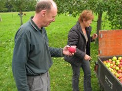 Obsternte 2007 19
