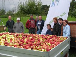 Obsternte 2007 20