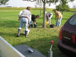 Obsternte 2009 11
