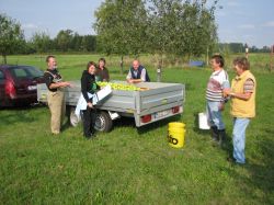 Obsternte 2009 14