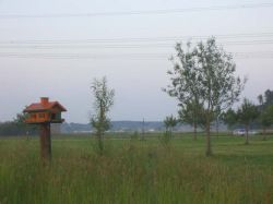 Sonnwend 2006 18